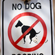 Illustration for article titled Bringing The Science To Your Dogs Poo